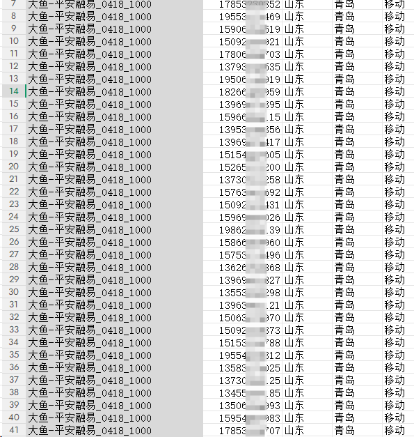什么是贷款客户一手数据？一手贷款数据的优势有哪些？缩略图